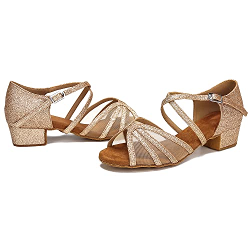 Image of Low Heel Ballroom Dance Shoes Women Latin Salsa Practice Dancing Shoes 1.5 Inch Heel ZB14