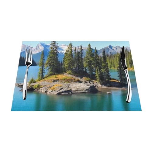 Sets de table de cuisine lavables en PVC lot de 4 tapis de table antidérapants - 5