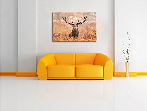 Pixxprint Big Cerfs dans Le domaine Art Toile 100x70cm Murale XXL – vue 2