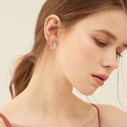 Paw Print Earrings for Women 925 Sterling Silver Pet Dog/Cat Huggie Hoops Cute Animal Jewelry Gifts for Wife Daughter Birthday Graduation3