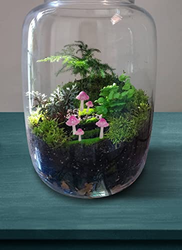 Coonoe Mini Mushrooms For Fairy Garden thumb #3