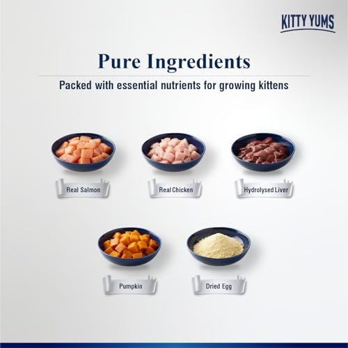 Image of Kitty Yums Kitten Wet Mousse 80g(4+1) Pack of 5, 400g | Salmon | Rich in Protein | Promotes Hydration & Easy to Digest | No Artificial Flavours | Packed with Essential Vitamins & Antioxidants