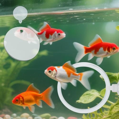 Image of 2 Pcs Betta Fish Exercise Ring and Betta Mirror Set,Betta Ring Enrichment Toys,Betta Toys Suitable for Fish Tank, Betta Tank, Betta Aquarium