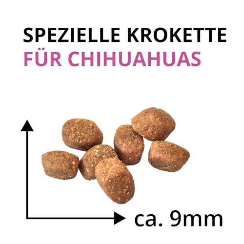 Wildsterne Breed Selection Chihuahua, 2,5 kg | Getreidefreies Trockenfutter | Monoprotein | von Tierärzten entwickelt