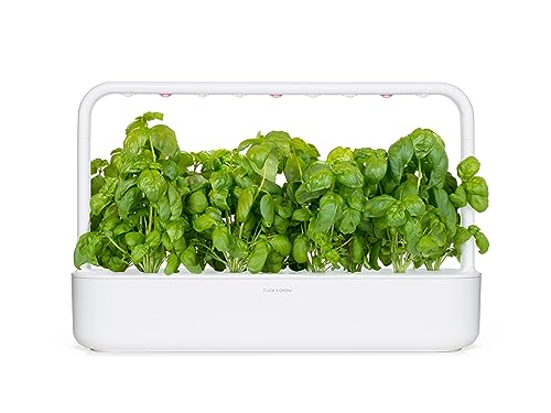 Emsa M52609 Click & Grow Substratkapsel Basilikum, Nachfüllpackung für Smart Garden, 3er-Set