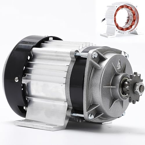 ZHOZHUT 500W 24V/48V dCO֎ԃ[^[ iv΃uVX DC [^[ 2880r/min l͎Ԏ]ԃ[^[AdCO֎ԁAl֎ԁAjH̕î߂̏ȓ̒S[^[,500w,48V