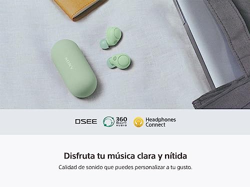 Audífonos, Personal Computer Imagen adicional