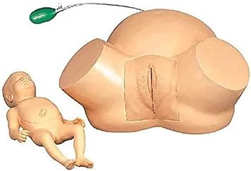 Female Childbirth Demonstration Model Pregnant Women Childbirth Simulated Human Medical Model for Medical Teaching/Education Supplies