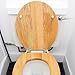 Toilet Seat Hinges Replacement: 1 Set Soft Close Elongated Toilet Seat Screws Lid Hinges Fixtures Parts Tank Bolts