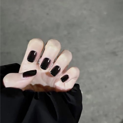 Feiangel lC `bv t 24 lC`bv V[g lCpi Eh`bv lC a Vv  V[g͋CF   l w Ǝ  ʃe[v EbhXeBbN lCt@CtiubN