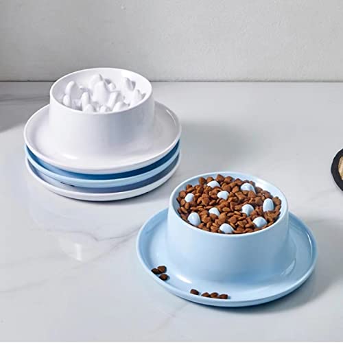 Slow Feeder Cat Bowl,Raised Cat Slow Feeder, Elevated Cat Bowls For Slow Eating, Pet Slow Feeder For Wet & Dry Food,Prevent Vomiting Improves Digestion (White) #TOP1