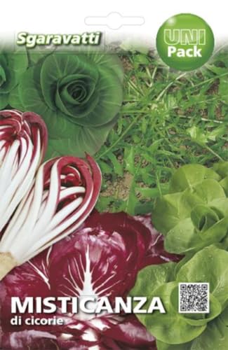 2000 SEMI MISTICANZA DI CICORIE MISTI SEMENTI CICORIA PROFESSIONALI SEEDS SEMILLAS