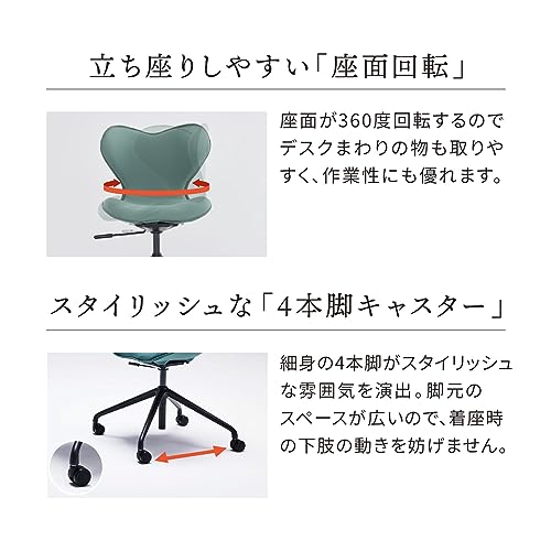 Style スタイル スマート シリーズ/Style SMART Series MTG エムティージー 骨盤サポートチェア 座椅子 オフィスチェア ミーティングチェア 姿勢サポートチェア の商品画像 6