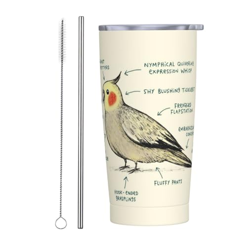 IJCR (1) }OJbv R[q[Jbv RrjJbv ۗ ۉ ^u[ XeX ^fM}O Wt ^ ڃhbv ԗp Aj LN^[ ObY 킢 v[g 600ml Straw Two-Piec