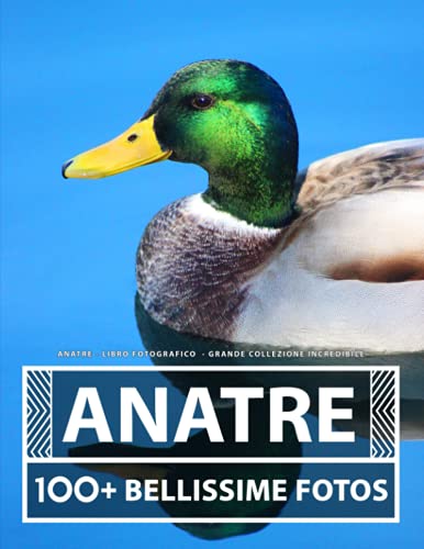 Anatre - Libro Fotografico - Grande Collezione Incredibile: 100 Bellissime Foto Di Anatre In Una Fantastica Collezione - Per Bambini E Adult
