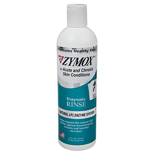Buy Zymox Medicated Rinse 12 oz Online at Low Prices in India Amazon.in