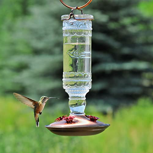 Perky-Pet 8107-1Sr Antique Glass Bottle Hummingbird Feeder - Outdoor Garden Décor Hummingbird Feeder #TOP1