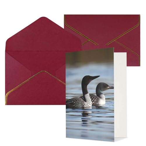 STVYUKL O[eBOJ[h _[Nbh̕t Thinking of You Card Loon Birds Happy Birthday  ҏ 󔒂̃J[h @ 4x6