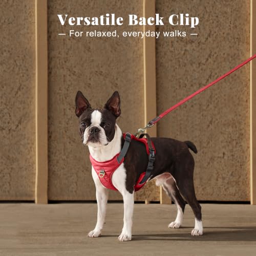 Image of Didog No Pull Dog Harness for Small Dogs, Classic PU Leather, Red, S