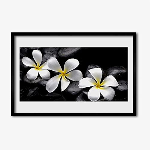 Affiche encadrée de plumeria 60x40 cm pour sublimer un mur blanc