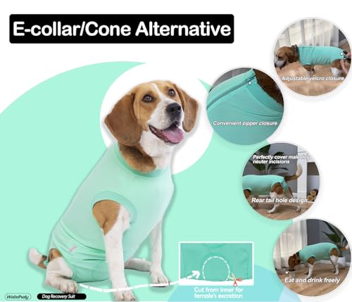 Image of Dog Zipper Surgery Recovery Suit for Male Neuter,Female Spay Recover Surgery Onesie,E-Collar & Cone Alternative Surgical Large Recovery Suit,Blank Green XXL