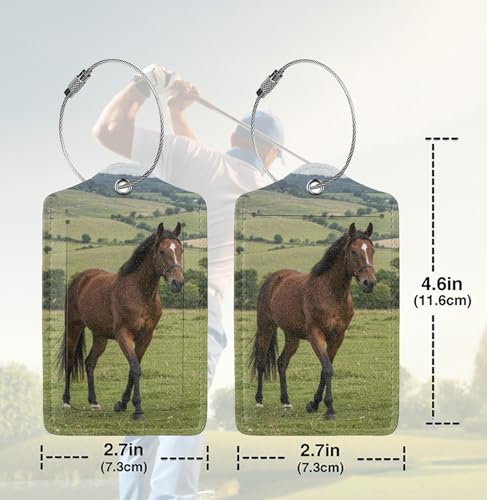 2 Pack Luggage Tags for suitcases Horse TSA Approved Label Luggage Tag Baggage Tag Leather Stainless Steel Loop Label Tag for Men Women Travel Bag Suitcase — view 2