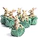 Set of 6 Miniature Resin Bunny in Cabbage Head Figurines - Easter Table Favor Decorations