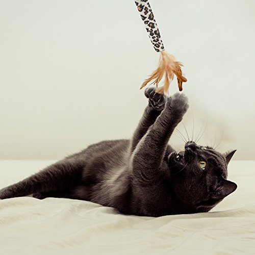 Weebo Pets Interactive Leopard Print Teaser Wand Cat Toy With Feather #TOP2