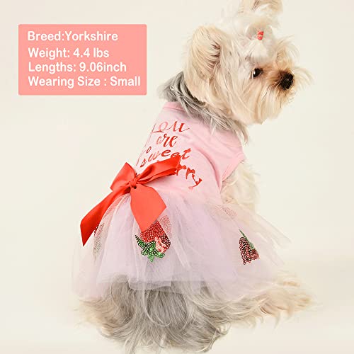 Dog Dress For Small Dog Girl, Birthday Dog Dress, Female Dog Clothes, Sequins Strawberry Dog Tulle Dress Outfit For Small Dogs Girl Pet Puppy For Summer (Small,Pink) #TOP1