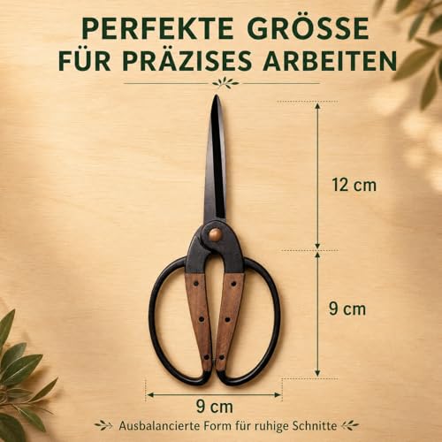 Traditionelle asiatische Bonsaischere, Pflanzenschere, Kräuterschere, Gartenschere, Blumenschere - aus schwarzem Edelstahl mit Walnussholzgriff