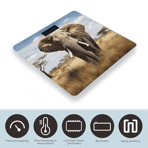 Báscula Digital Elephant de Vidrio Templado para Baño miniatura 3