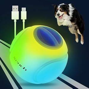Light Up Dog Balls, LED Dog Toy Ball Rechargeable, Bounce-Activated Durable Fetch Ball Grow in The Dark, Night Glowing Dog Ball, Natural Rubber, Color Changing LED, 2.5 inches-Blue