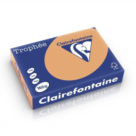 Ramette de 250 feuilles de papier Trophée caramel, A4, 160 g/m² – Lot de 4