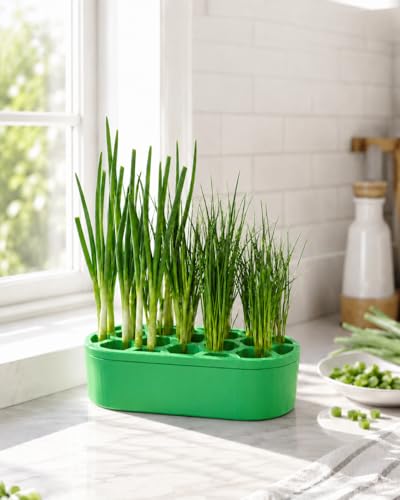 YOORORO Green Onion Regrower Sprouting Kit Indoor Kitchen Herb Growing Tray Hydroponic Scallion Planter Container Vegetable Regrower System Compatible with Green Onion Shredder