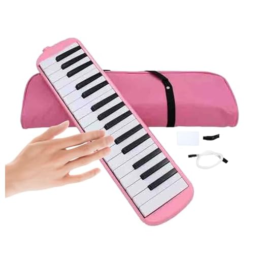 Instrumento Melodica, Tubo Melodica | Teclado Aire Piano Con Tubos Dobles,Instrumentos Musicales Estables, Melódica A, Mélodica De Órgano Principiantes