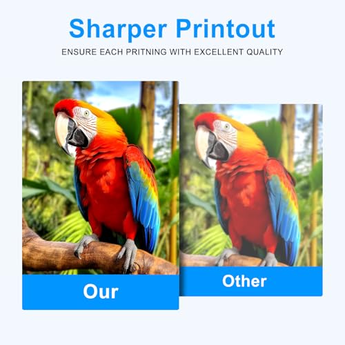 Goadper Eco Solvent Tinte Reinigungslösung 500ML Druckköpfe Reinigungslösung für Eco Solvent Tinte Kompatibel mit XP600 TX800 DX5 DX7 DX9 DX10 DX11 DX4 I1600 I3200 mit Roland Mimaki Mutoh （1 Pack）