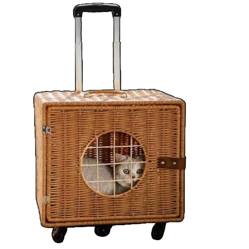 Kwueiit ِybgL[ ybgg[P[XA|[^uٔLobOAX[cP[XAobOAh̗ǂARXgXALX[cP[X LX^[t ܂肽 O\bL/^Ήbs/hCu/ʉ@/h ()