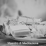 Grammofoni digitali