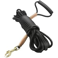 犬猫工房 15m