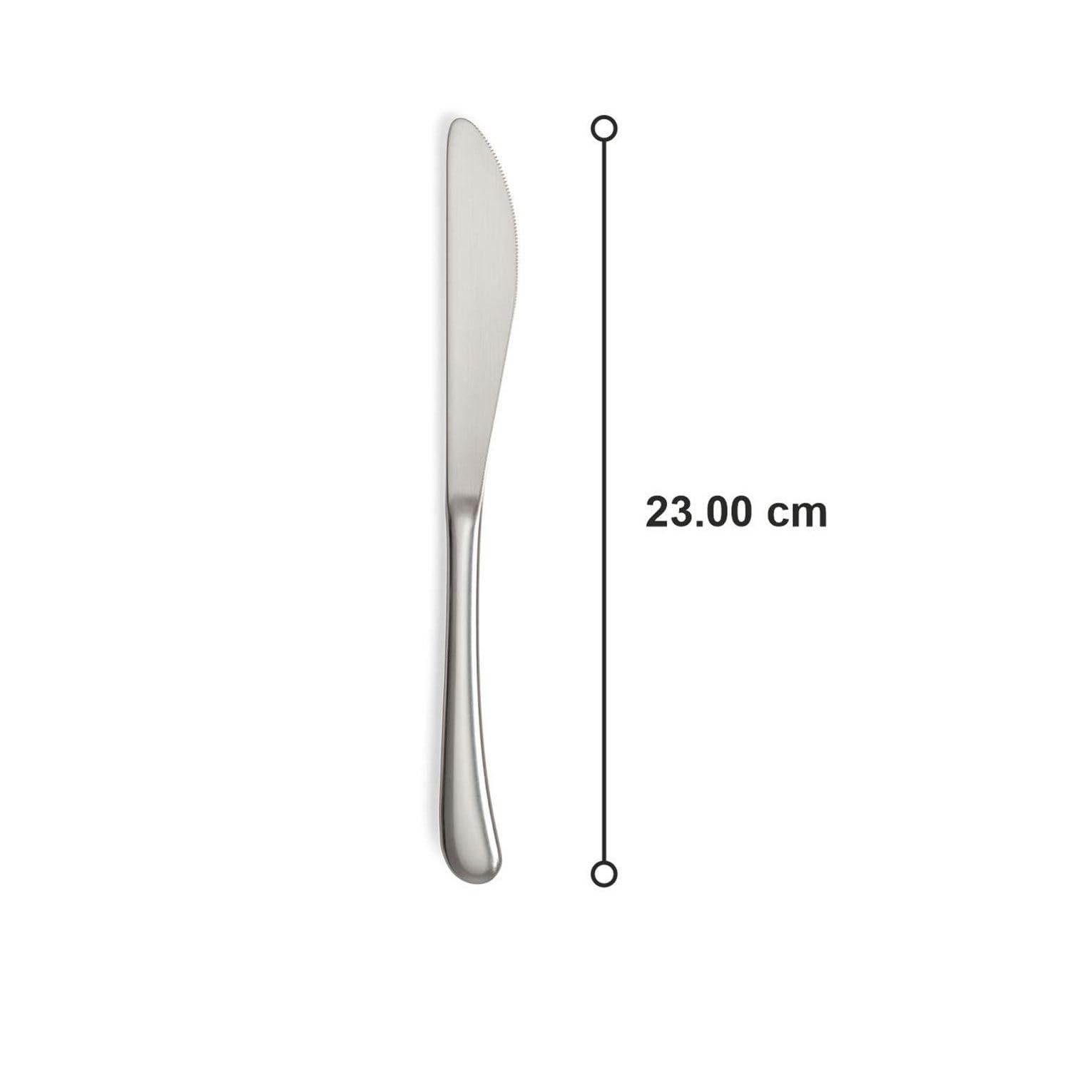 Culinex Premium Stainless Steel 8.5" Butter Knife Set of 2 for Dining, Home & Kitchen| Rustproof Dinner Butter Knives, Silver Flatware by thinKitchen (Dora) 1