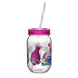 Zak Designs Trolls Movie 19 oz. Canning Jar Tumbler, Poppy, Branch, DJ Suki, Biggie & Guy Diamond