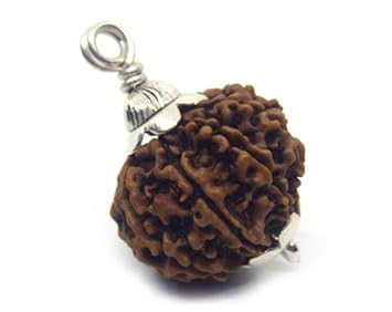 Golden Gems 9 Mukhi Rudraksha Original Lab Certified Auspicious Nomukhi Rudraksha with Silver Capping Holy Bead 9 Face Rudraksha Nepali Durga Maa Rudraksha Naumukhi Rudraksha 9
