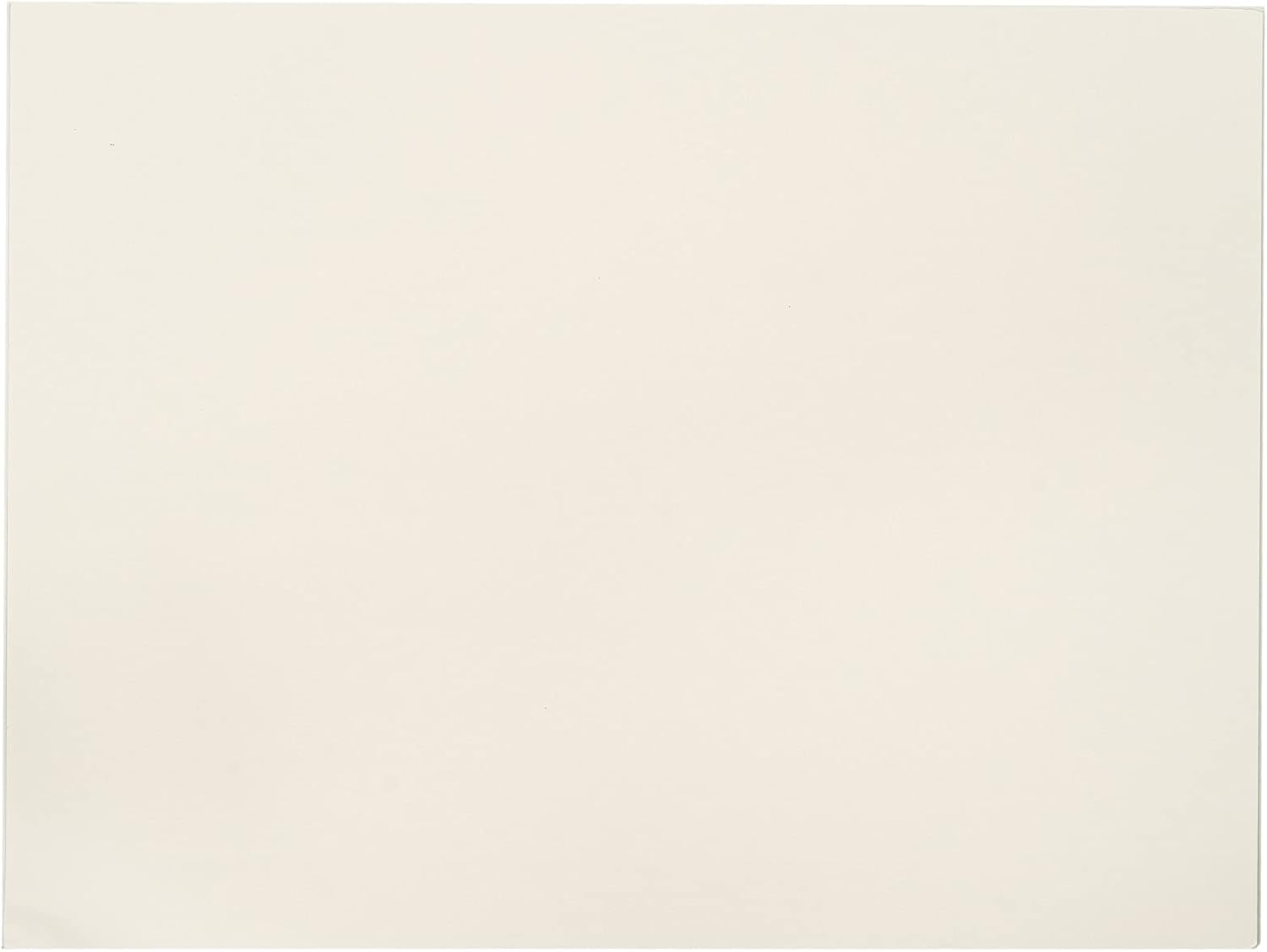 Fabriano 1264 Bristol Pad, 18 x 24, White