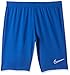 Nike Dri-fit Academy SF Short De Football Homme, Jeu Royal/Jeu Royal/Jeu Royal/Blanc, L