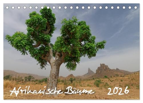 Afrikanische Bäume (Tischkalender 2026 DIN A5 quer), CALVENDO Monatskalender: Faszinierende Aufnahmen von Solitairbäumen im südlichen Afrika (CALVENDO Natur)
