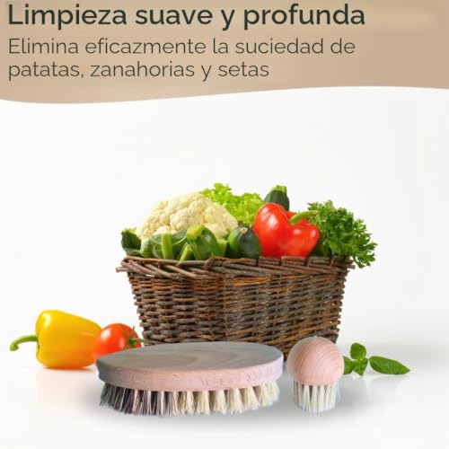 Miniatura 6 de Topanbieter 999 Juego De 2 Cepillos Para Verduras Y Champiñones De Madera De Haya, Cepillos De Limpieza Sostenibles Para Verduras Y Hongos, Robustos, Duraderos Y Respetuosos Con El Medio Ambiente