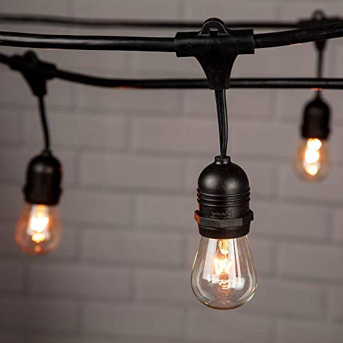 fantado 10 Suspended Socket Outdoor Grade Patio Commercial String Light Set, S14 Bulbs, 21 FT Black Cord w/ E26 Medium Base, Weatherproof by PaperLanternStore