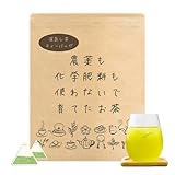 みずたま農園 農薬も化学肥料も使わないで育てたお茶 緑茶 ティーバッグ 2.5g×50p 【農薬不使用 化学肥料不使用 水出し お湯出し ティーパック】（パック 農不緑TB）