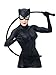 DC Comics Cat Woman Bust Bank Action Figure