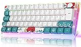 MIHIYIRY AK62 Mechanische Gaming-Tastatur, 60% kompakte, Hot-Swap-fähige Tastatur mit RGB-Hintergrundbeleuchtung PBT-Typ-C-Kabel für Win/Mac-Gamer.